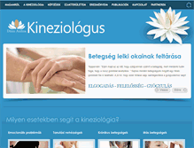 Tablet Screenshot of kineziologia.co.hu