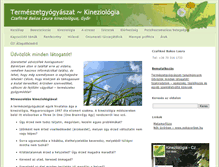 Tablet Screenshot of kineziologia.net